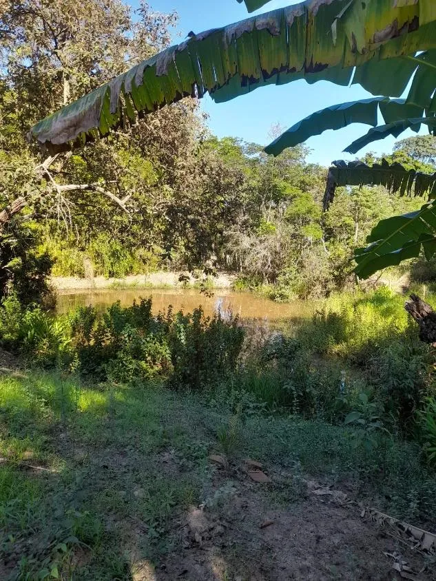 Imagem Vendo excelente sítio em Bonfim/MG ,com 9 hectares de área total (90.000 m²),