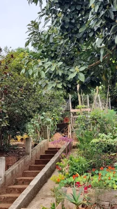 Imagem CHÁCARA JARDIM CANANÉIA COM PISCINA