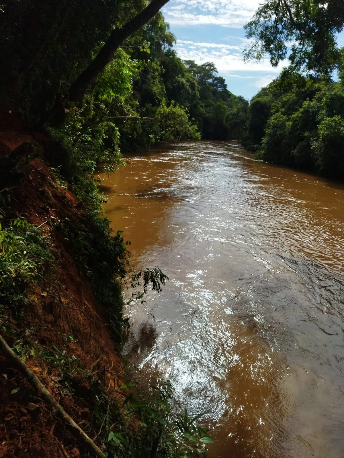 Imagem Chácara à Venda em Paranapanema com 120m², Pomar Variado e Rio nos Fundos