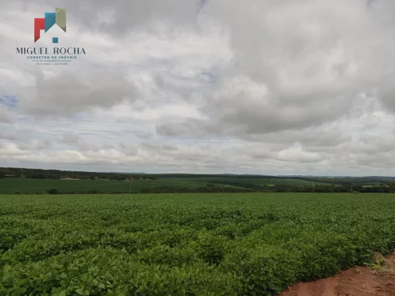 Imagem Fazenda região Itapetininga SP