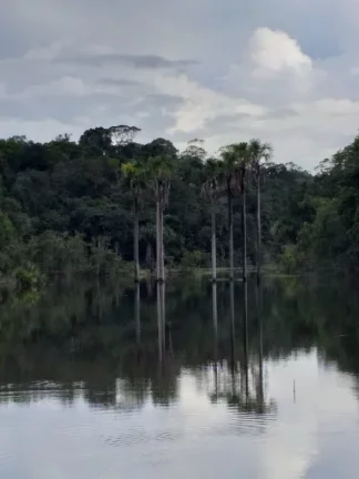 Imagem Oportunidade de adquirir uma grande área , em Rio Preto da Eva . com 15 mil hectares , escriturado e registrado