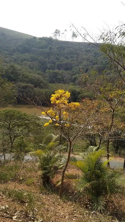 Imagem Terreno para Venda em Petrópolis / RJ no bairro Posse