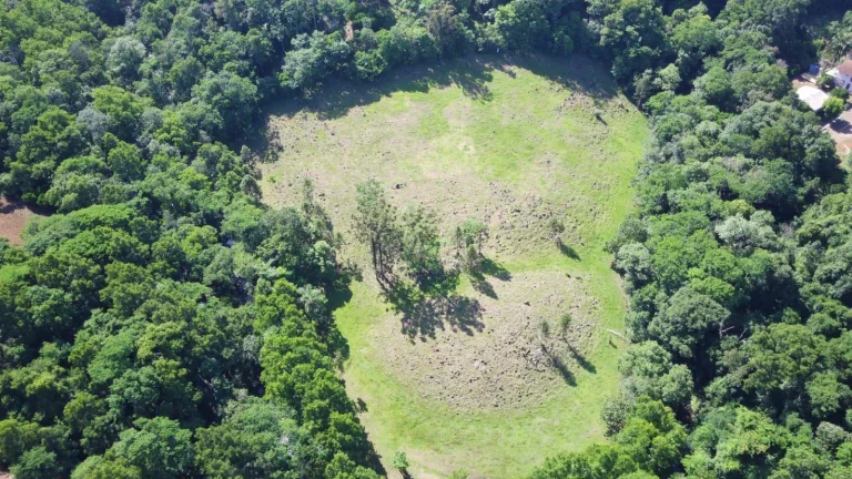 Imagem Área Agrícola para Venda em Arabuta, Centro