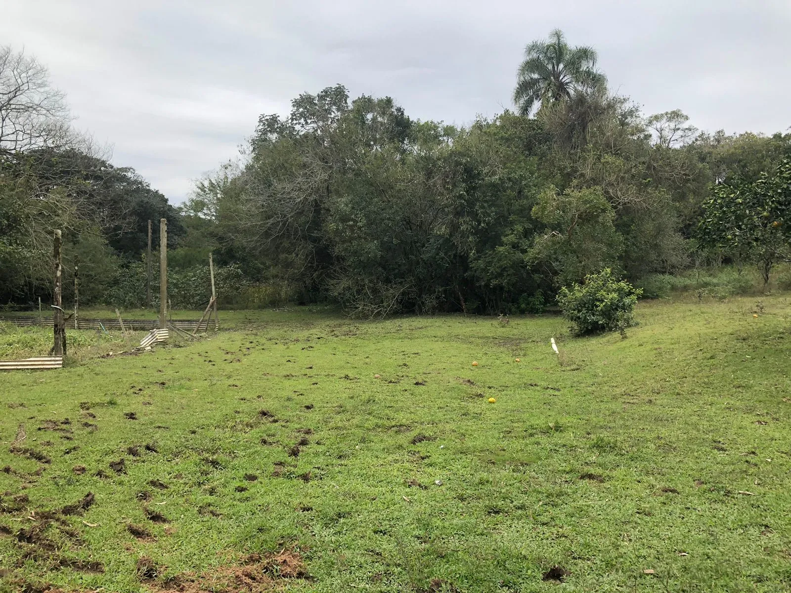 Imagem Sítio Rural de 121.672,00 M² no Bairro Belém Velho Poa-RS