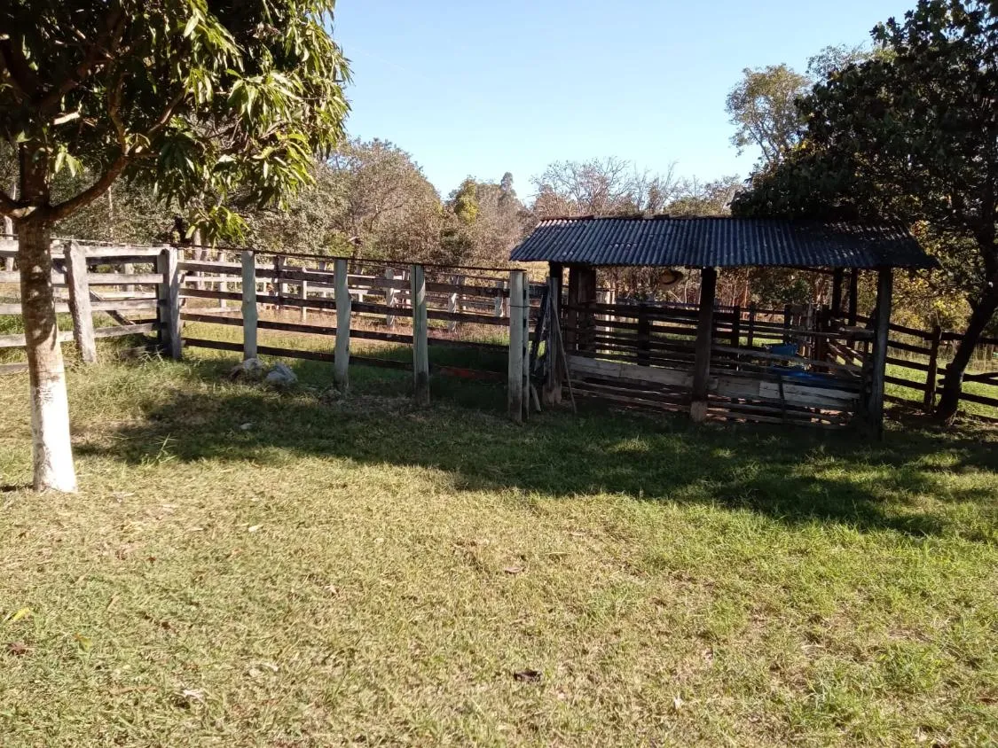 Imagem Vendo um excelente sítio na cidade de Piracema/Mg com 5 hectares de terra