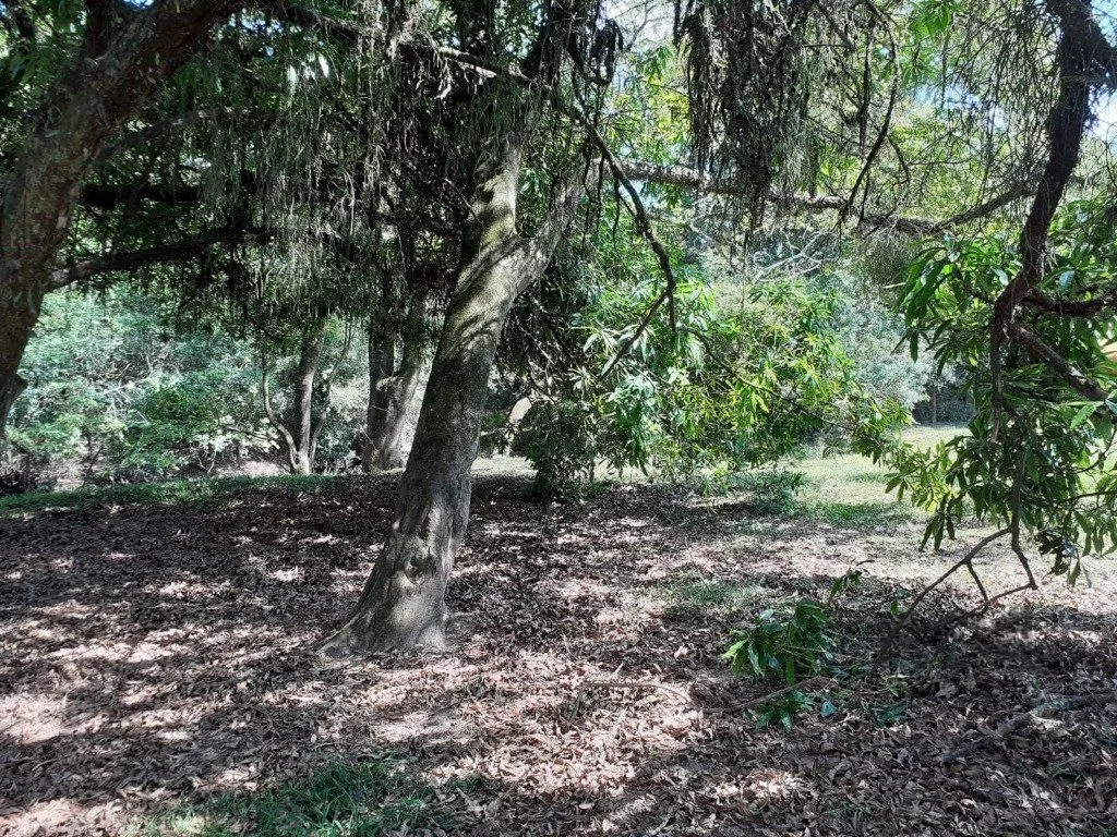 Imagem SÍTIO - 8 ha 2.980 m² de extensão - 5 dormitórios - 2 vagas - TRIUNFO-RS
