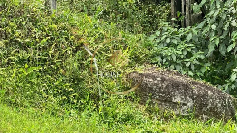 Imagem Sítio com 10 hectares, São Francisco Xavier, SJCampos, SP.