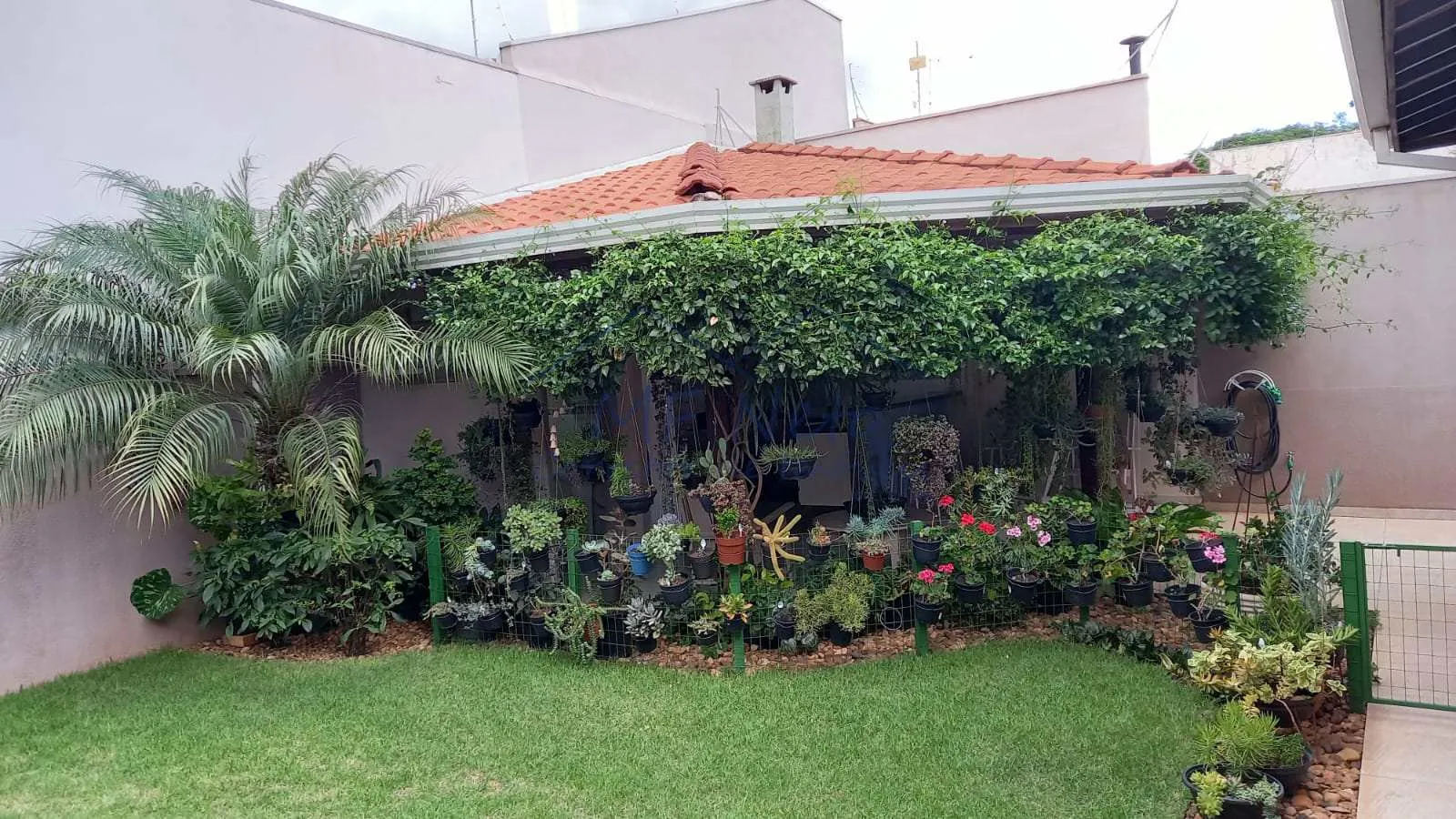 Foto do imóvel Casa Padrão