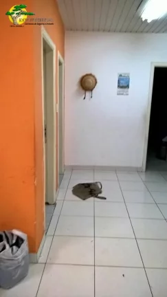 Imagem PRÉDIO COMERCIAL PARA VENDA, VILA BANDEIRANTES/CASA VERDE