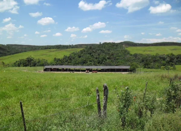 Imagem FAZENDA FORMADA no interior de São Paulo