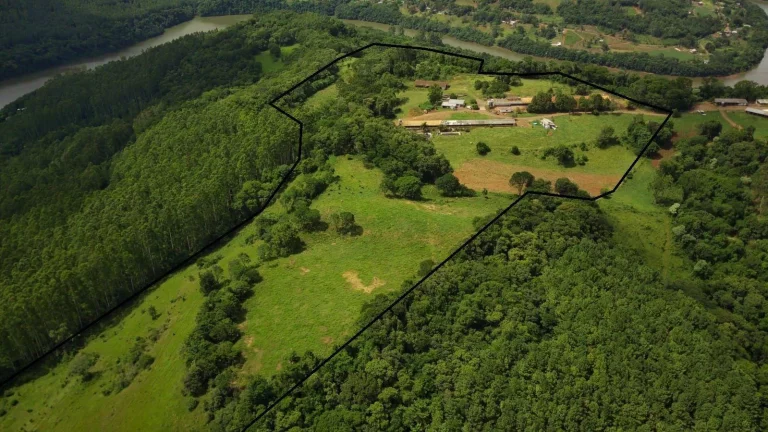 Imagem Área Agrícola para Venda em Concórdia, Interior