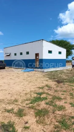 Imagem Fazenda à venda em Jandaíra - 300 hectares com alto potencial produtivo