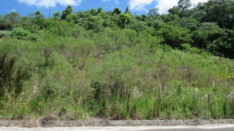 Imagem Terreno para Venda em Concórdia, Primavera