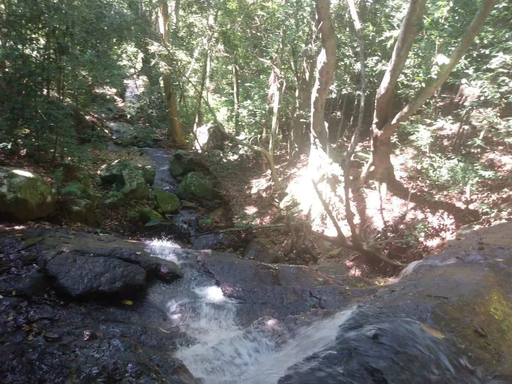Imagem Chácara para venda, bairro Voluntário Baixo em Igrejinha/RS.