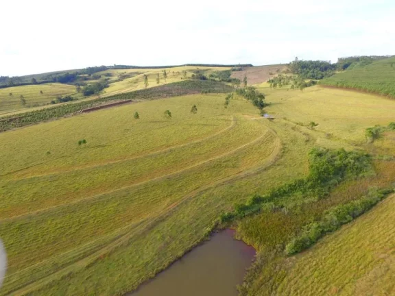 Imagem Itirapina/SP, Sitio 19 alqueires ideal para pecuária