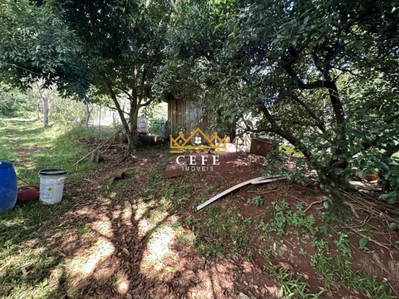 Imagem Chácara - Sítio com 4 Dormitorio(s) localizado(a) no bairro Linha Cristo Rei em Morro Reuter / RIO GRANDE DO SUL Ref.:1468