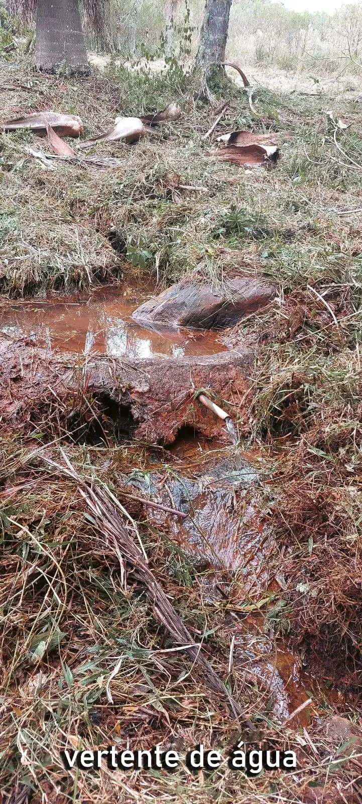 Imagem Chácara com 2 dormitórios à venda,60500.00 m , Guabiroba, GUARAPUAVA - PR