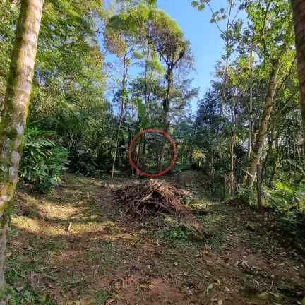 Imagem Lindo terreno na Beira Rio, com 1500 mt com patamar e area de preservaçao.