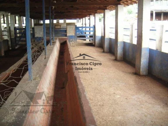 Imagem Fazenda-para-Venda-em-Vila-Sao-Miguel-Lorena-SP