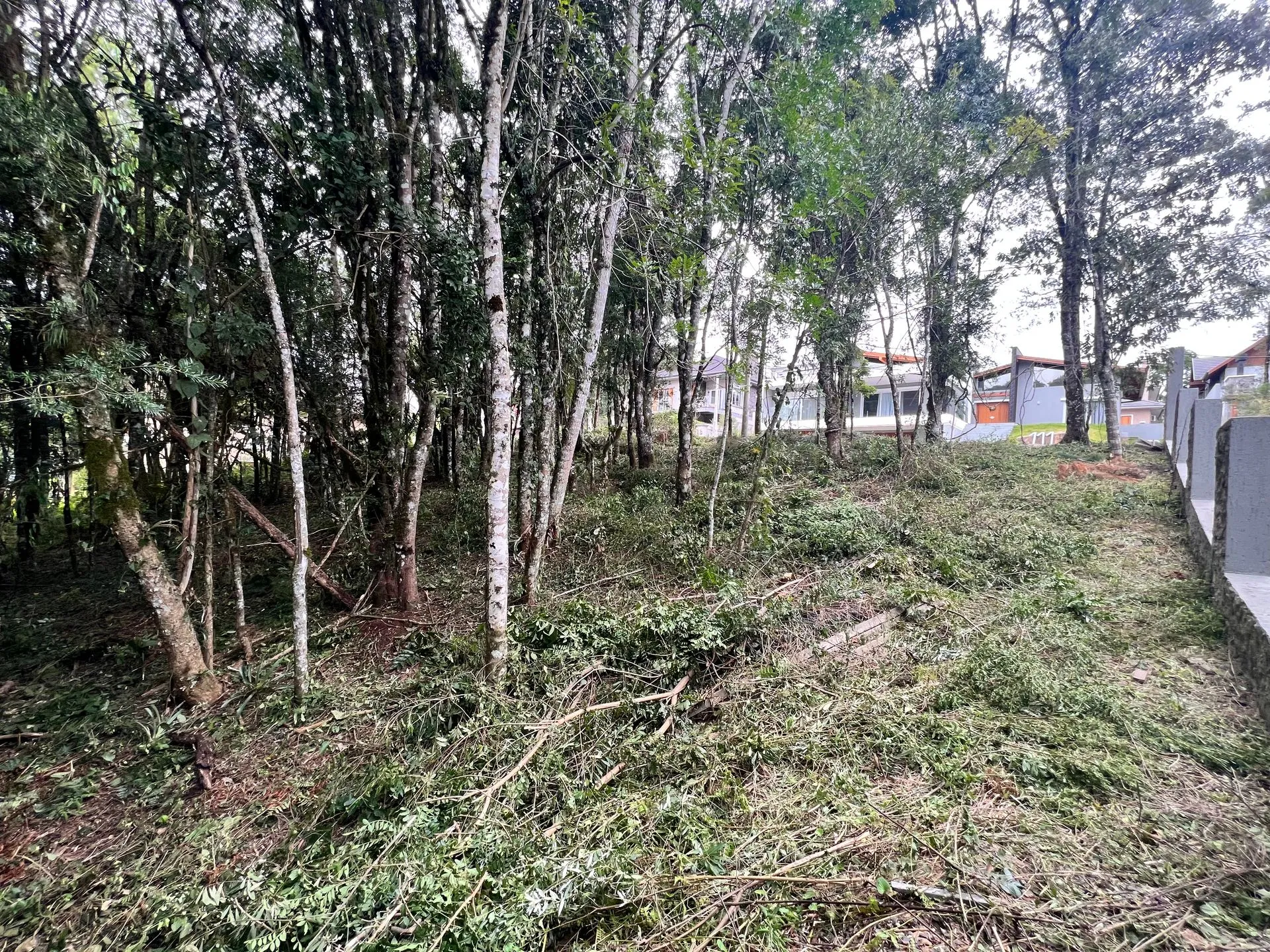 Imagem Lote à venda em Gramado, Carniel, 390m2