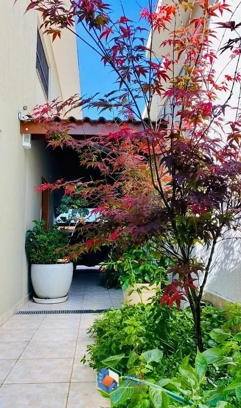 Imagem Casa para venda em Planalto Paulista com 3 quartos, sendo 1 suíte, 320m²