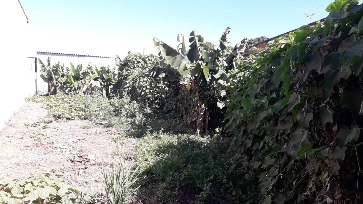 Foto do imóvel Terreno à venda 300M², Jardim Regina, Pindamonhangaba - SP