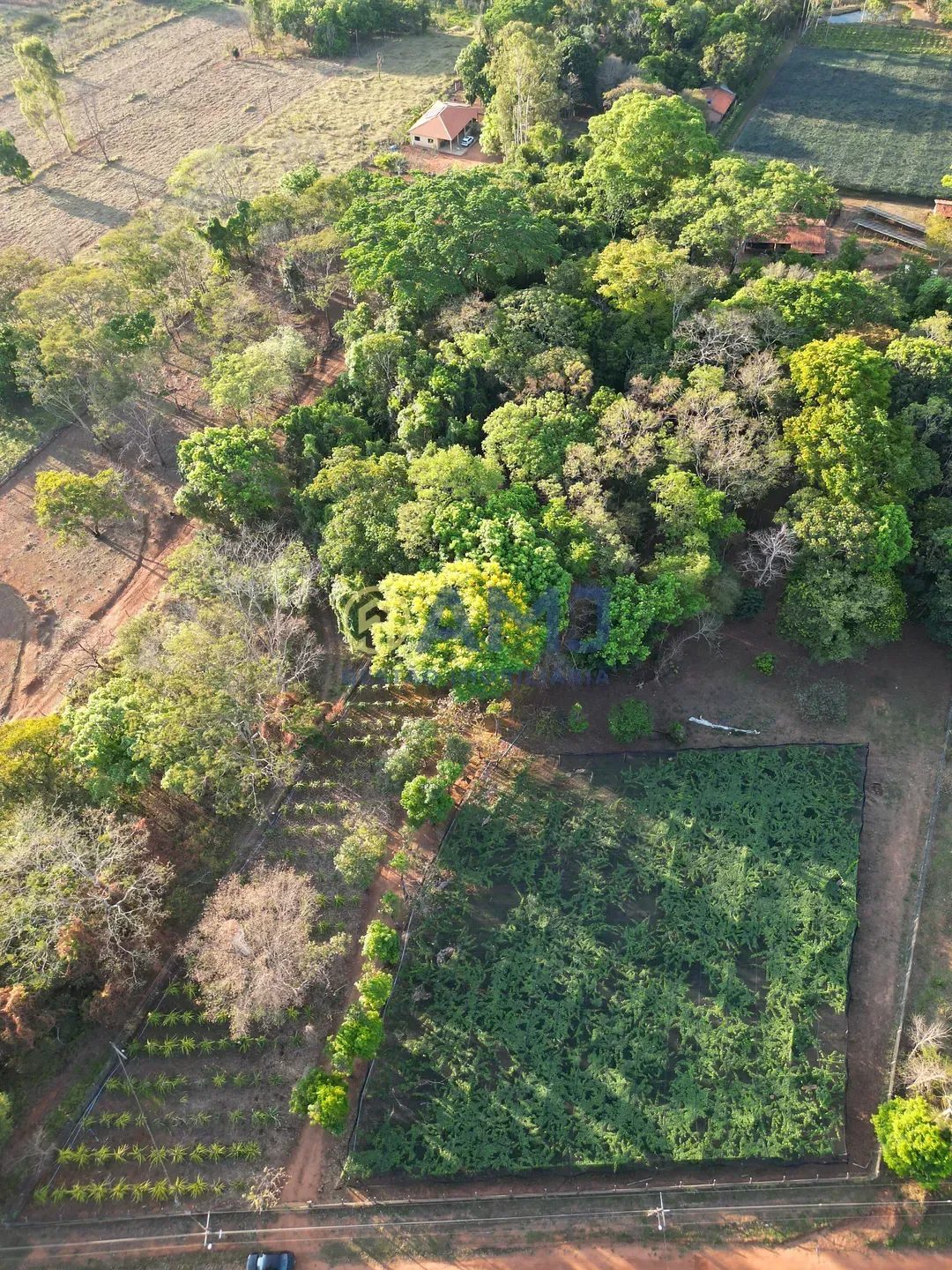 Imagem DUAS CHÁCARAS VIZINHAS À VENDA | HIDROLÂNDIA/GO