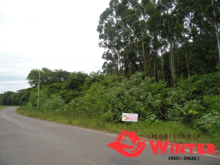 Imagem Área de terra com 7.884,70m² no São Roque/ Feliz.
