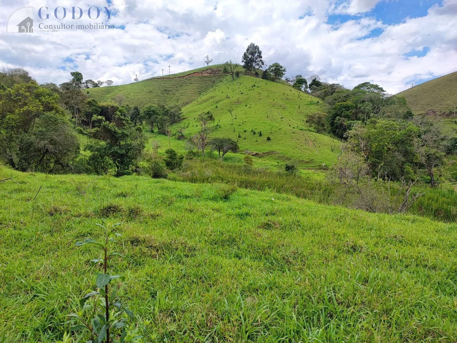 Imagem Área de 48.000 m² com excelente localização em Cunha/SP.