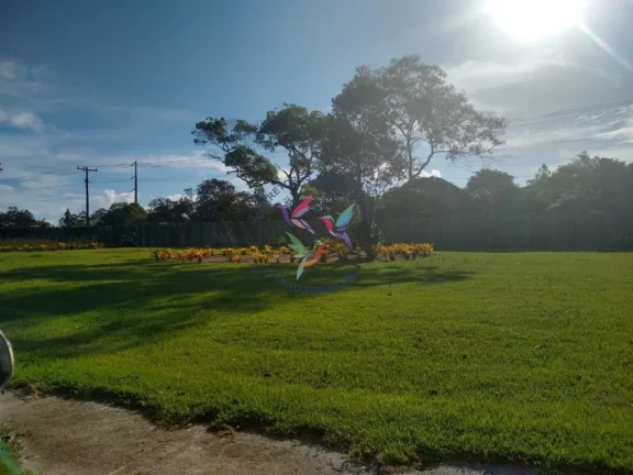 Imagem TERRENO COM EXCELENTE LOCALIZAÇÃO