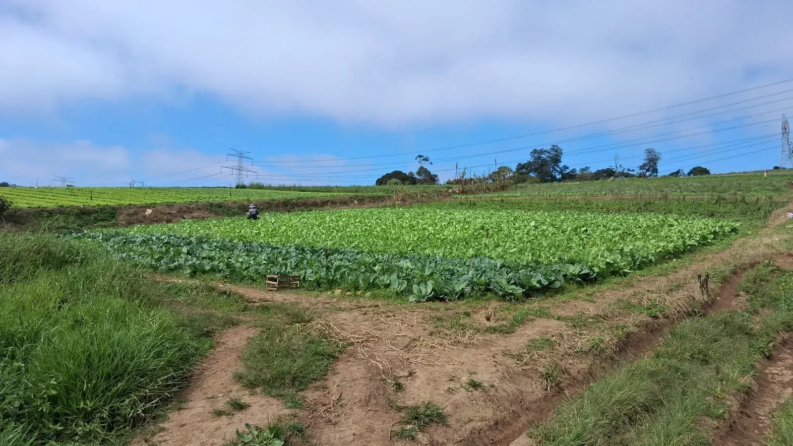 Imagem Terreno à Venda, 186.000 m² em Pirituba - Arujá
