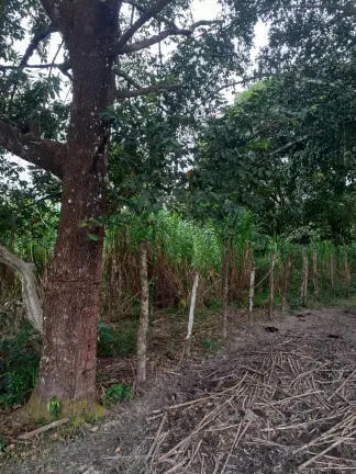 Imagem Fazenda à Venda,  em zona rural - Salvaterra