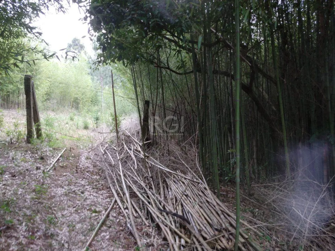 Imagem Área para Venda - 11,39ha, bairro Belém Velho