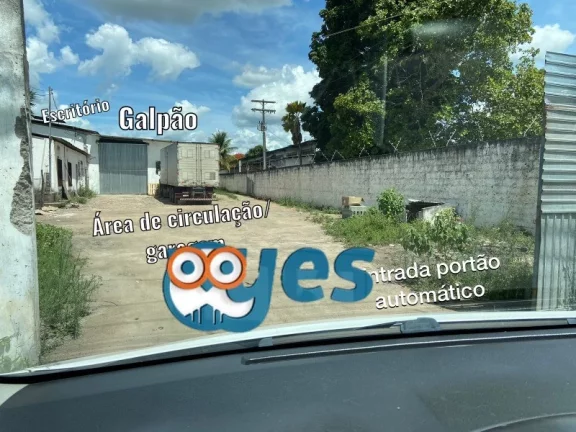 Imagem Galpão comercial no Cis - Tomba para Locação