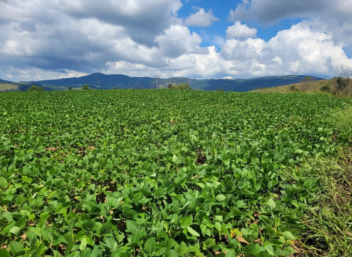 Imagem Fazenda 142,78 ha à venda em Área Rural, Caldas