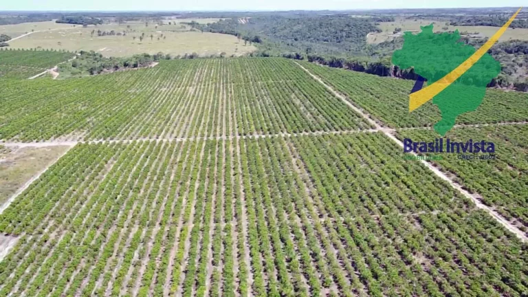 Imagem FAZENDA COM EXCELENTE PRODUÇÃO PRÓXIMA A PORTO SEGURO