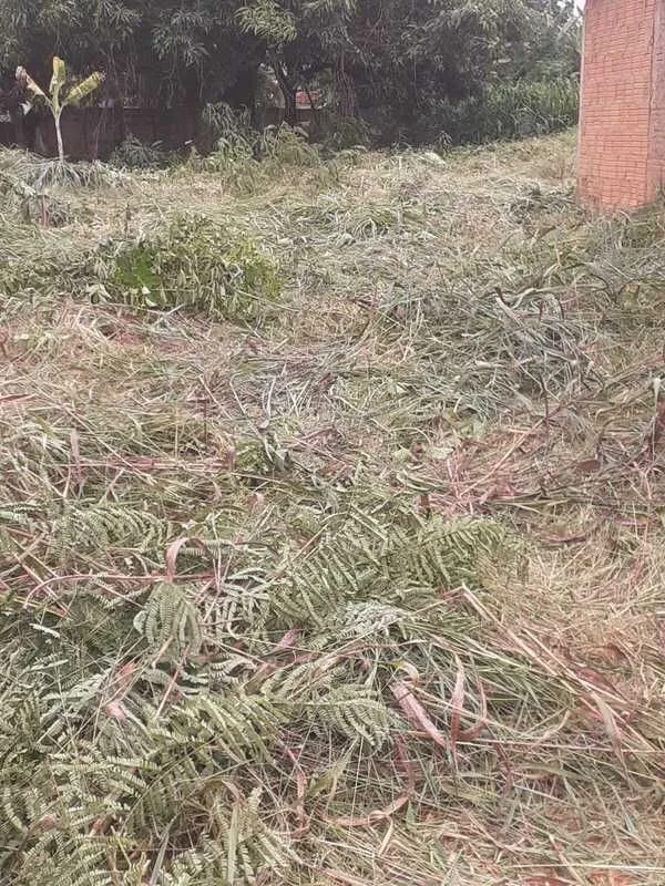 Imagem Terreno à venda, 1460 m² por R$ 84.000,00 - Distrito de Alagoas - Patos de Minas/MG