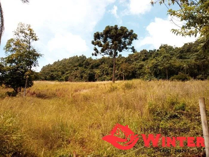 Imagem Chácara de 12,5 hectares em Bom Princípio.