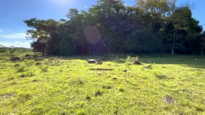 Imagem Chácara para Venda em Santo Antônio da Patrulha / RS no bairro Roça Grande