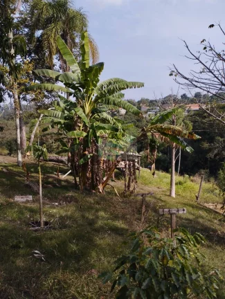 Imagem CHÁCARA JARDIM CANANÉIA COM PISCINA
