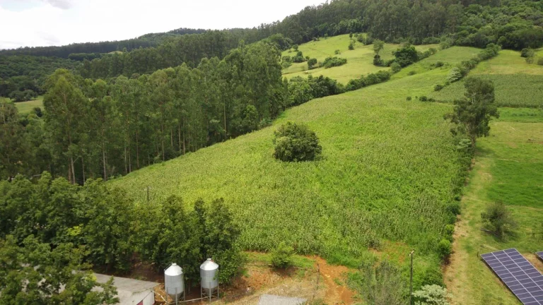 Imagem Área Agrícola para Venda em Jaborá, Rodovia