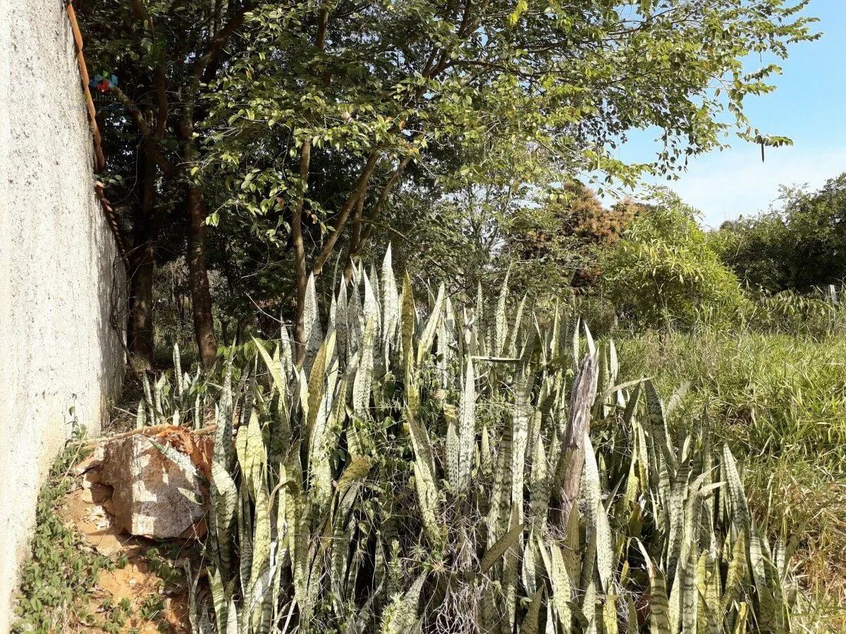 Imagem Terreno-para-Venda-em-Vila-Americana-Tatui-SP