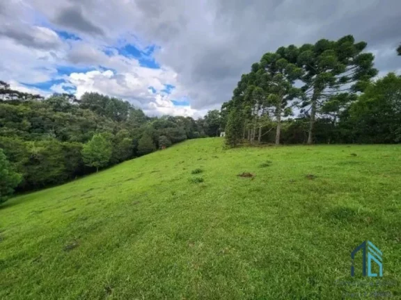 Imagem (PERMUTA) Chácara a venda documentada com 51.000 mil metros e pronta para morar em São José dos Pinhais PR