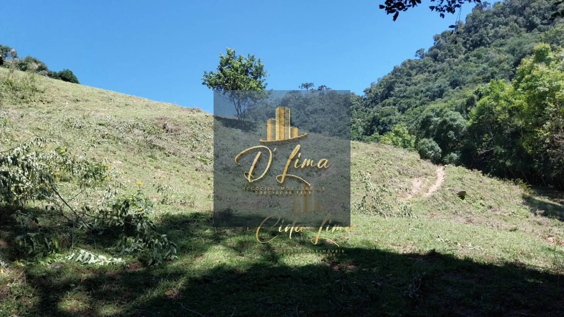 Imagem Vendo sítio/ Chácara, 12 Hectares em Alfredo Wagner SC.
