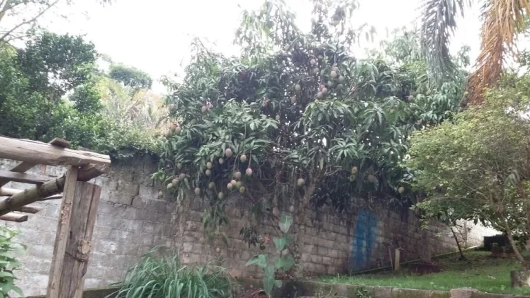 Imagem Atibaia Chácara Condomínio Fechado Aceita Permuta!