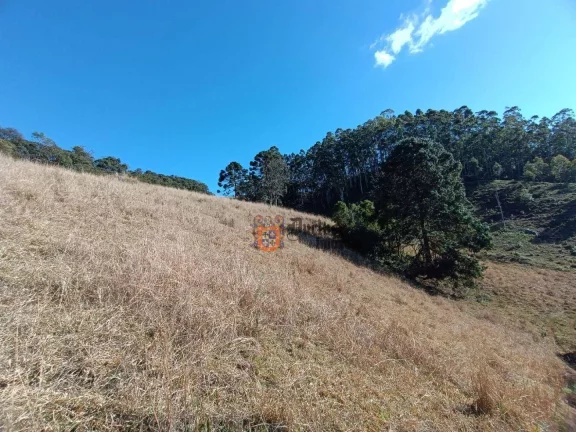 Imagem Área à venda, 145200 m² por R$ 1.300.000,00 - Bom Jardim - Camanducaia/MG