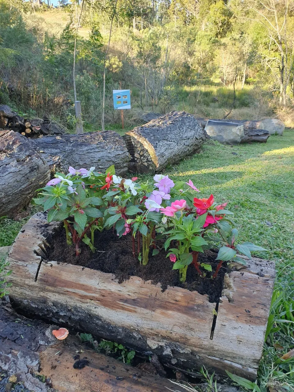 Imagem Lote à venda em Gramado, Portico, 652.39m2