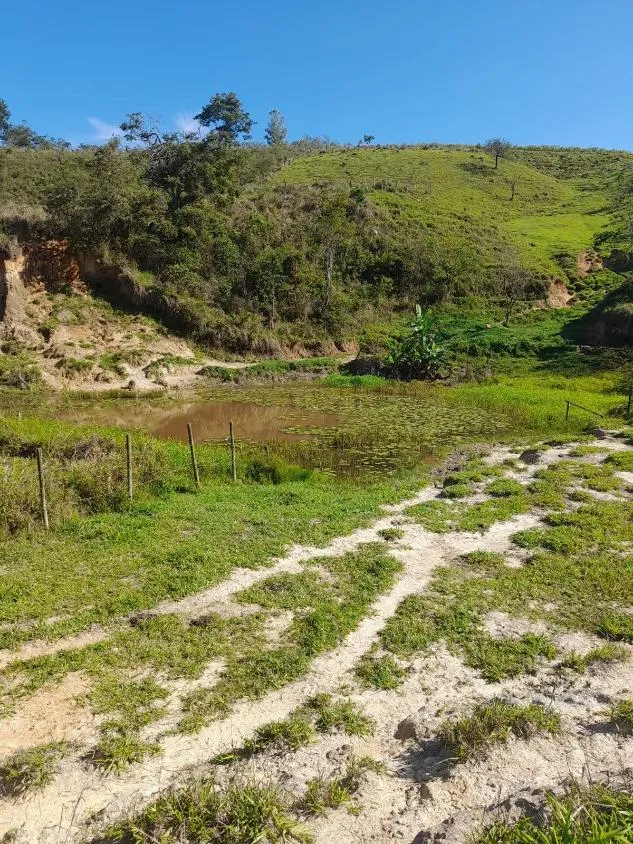 Imagem Vendo excelente sítio em Bonfim/MG ,com 9 hectares de área total (90.000 m²),