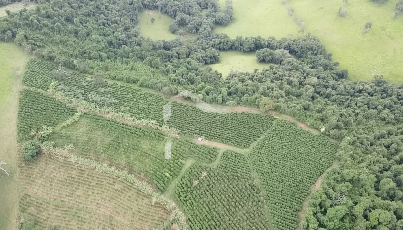 Imagem Sítio 5 m² à venda em Santana de Caldas, Caldas