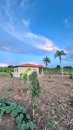 Imagem Chácara no Setor Jardim Rio Dos Peixes, Distrito de Artulândia, Município de Jaraguá-GO.
